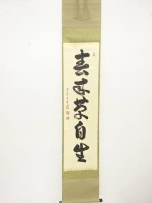 前大徳　森洞雲(泰堂)筆　「春来草自生」　一行書　紙本肉筆掛軸